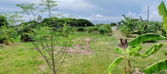  Commercial property in Bang Lamung, Thailand No. 1838 2