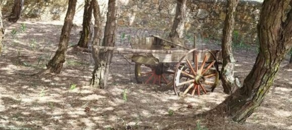 4 Schlafzimmer Haus in Colares, Portugal, Nr. 48126 13