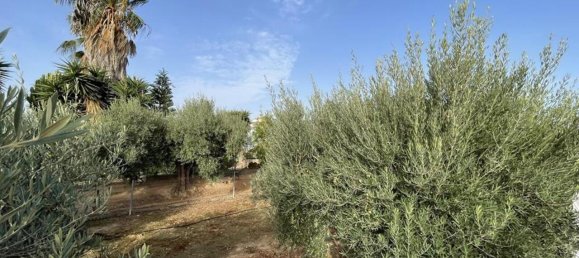 Villa T3 em Gea Y Truyols, Spain N.º 10490 5