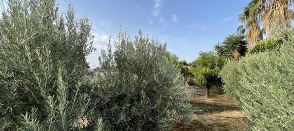 Villa T3 em Gea Y Truyols, Spain N.º 10490 6