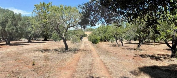 Casa de 3 habitaciónes en Ostuni, Italy No. 26594 13