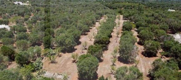 Casa de 3 habitaciónes en Ostuni, Italy No. 26594 10