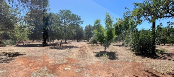 Casa de 3 habitaciónes en Ostuni, Italy No. 26594 11