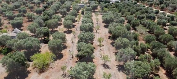 Casa de 3 habitaciónes en Ostuni, Italy No. 26594 9