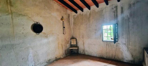 3 chambres Maison à La Romana, Spain No. 138693 5