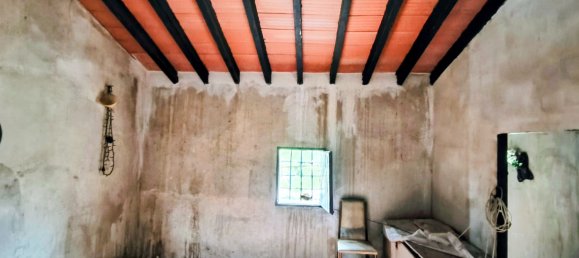 3 chambres Maison à La Romana, Spain No. 138693 19