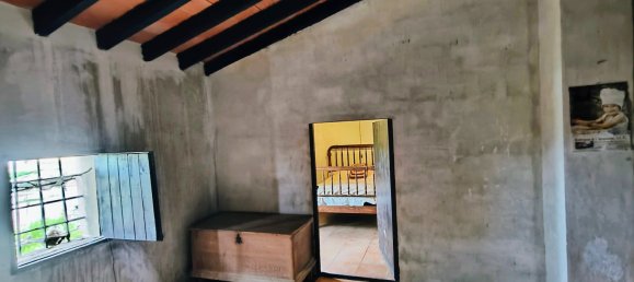 3 chambres Maison à La Romana, Spain No. 138693 4