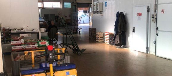 1000m² Warehouse in Grosseto, Italy No. 141679 8