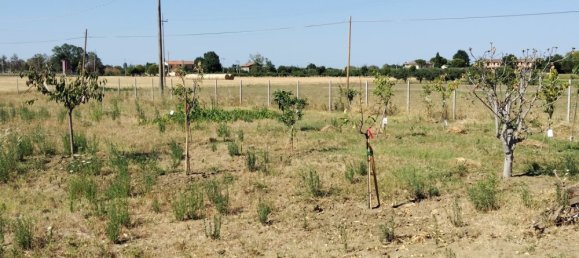 Studio in Rimini, Italy No. 202201 3