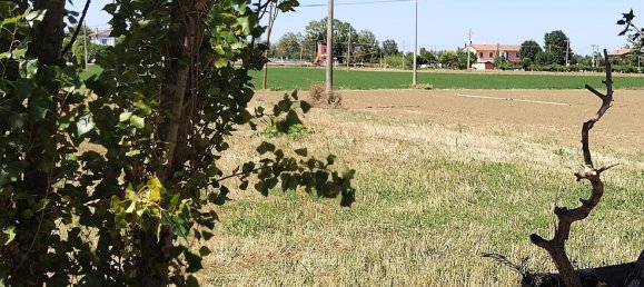 Studio in Rimini, Italy No. 202201 11