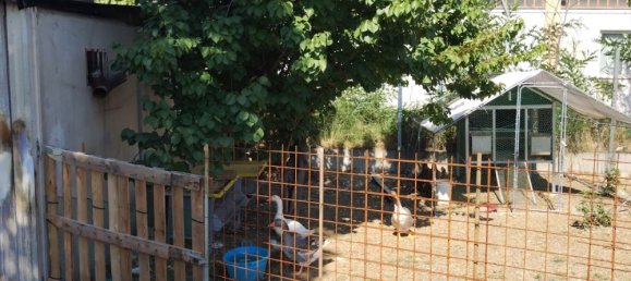 Studio in Rimini, Italy No. 202201 5