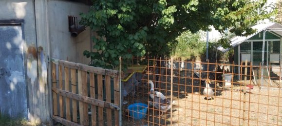 Studio in Rimini, Italy No. 202201 7