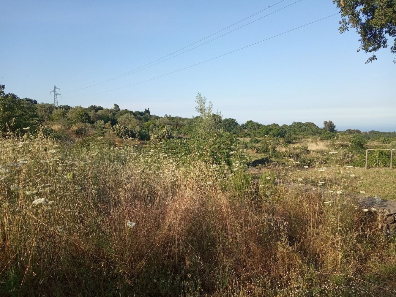 3000m² Land in Zafferana Etnea, Italy No. 172949