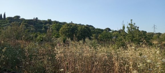 3000m² Land in Zafferana Etnea, Italy No. 172949 4