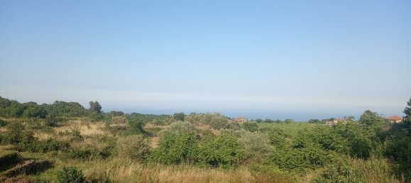 3000m² Land in Zafferana Etnea, Italy No. 172949 5