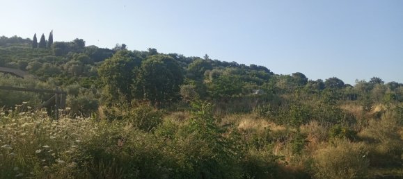 3000m² Land in Zafferana Etnea, Italy No. 172949 2