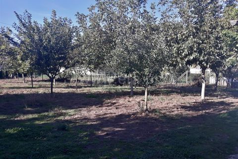  Land in Barcelos, Portugal No. 202226