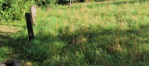 Terrain à Ostalbkreis, Germany No. 275582 6