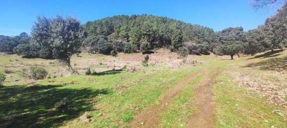 59256m² Land in Arenas de San Pedro, Spain No. 74248 8