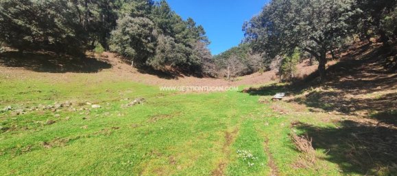 59256m² Land in Arenas de San Pedro, Spain No. 74248 4