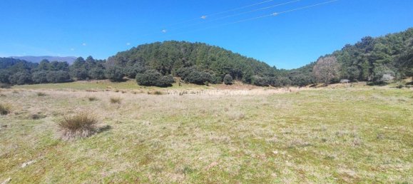 59256m² Land in Arenas de San Pedro, Spain No. 74248 9