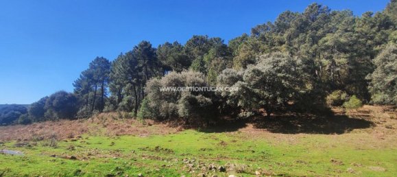 59256m² Land in Arenas de San Pedro, Spain No. 74248 2