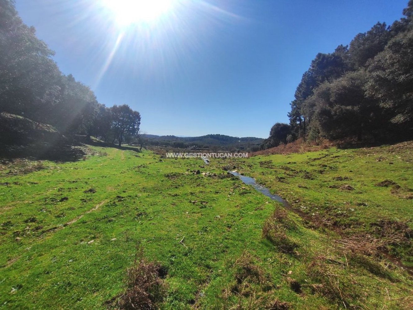 59256m² Land in Arenas de San Pedro, Spain No. 74248