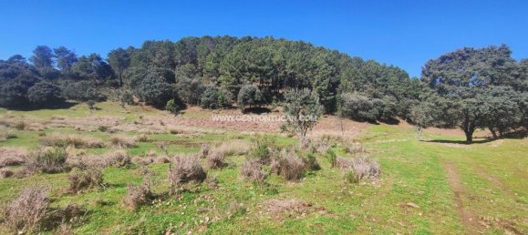 59256m² Land in Arenas de San Pedro, Spain No. 74248 6