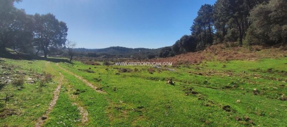 59256m² Land in Arenas de San Pedro, Spain No. 74248 3