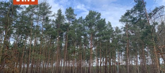 Grundstück in Elbe-Elster, Germany, Nr. 46482 4