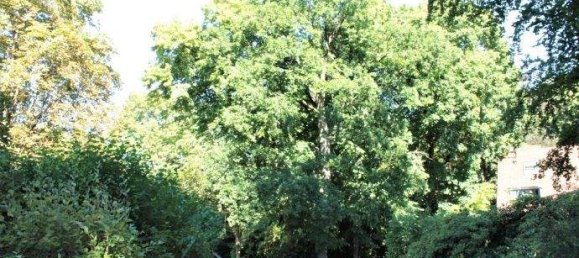 7-Zimmer Stadthaus in Altona, Germany, Nr. 291190 18