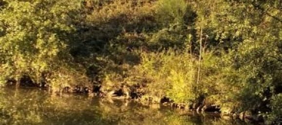 4 chambres Maison à Fontenoy-le-Château, France No. 215100 4