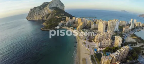 Коммерческая недвижимость 73м² в Кальпе, Испания № 100126 3