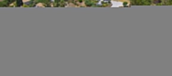 5 chambres Villa à El Madronal, Spain No. 19563 19