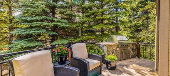 5 bedrooms Commercial property in Vail, USA No. 22 18