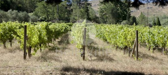 Hotel T20 em Abrunhosa a Velha, Portugal N.º 41382 42