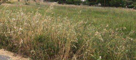 Grundstück in Monreale, Italy 2437m², Nr. 255991 9