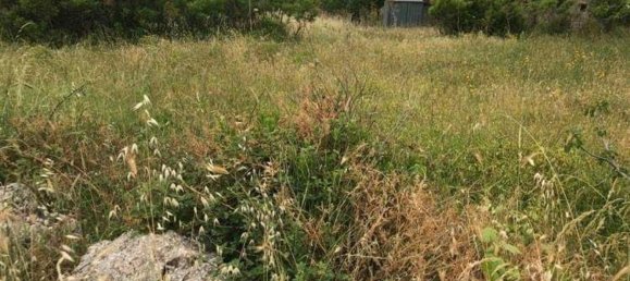 Grundstück in Monreale, Italy 2437m², Nr. 255991 7