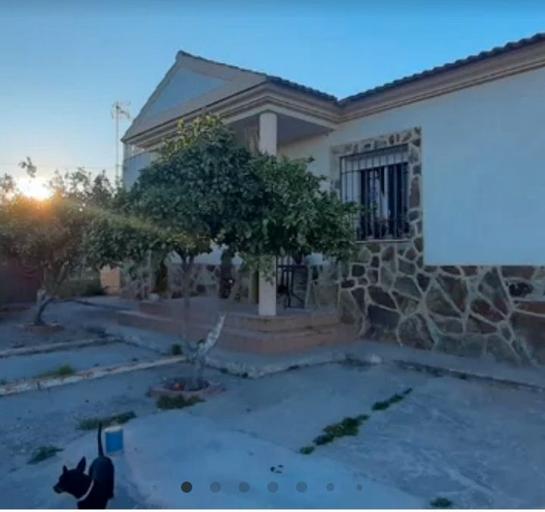 Terrain à Cordoba, Spain 1550m² No. 197451