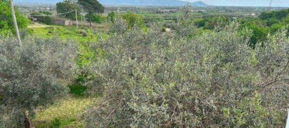 3 rooms Apartment in Minturno, Italy No. 222416 16