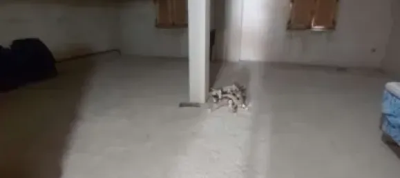 10 غرف نوم منزل في Granada, Spain رقم 141532 35