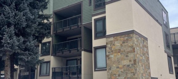 3 bedrooms Cafe / restaurant in Vail, USA No. 560275 15