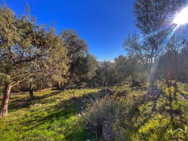 Terrain à Carros, France 1231m² No. 107764