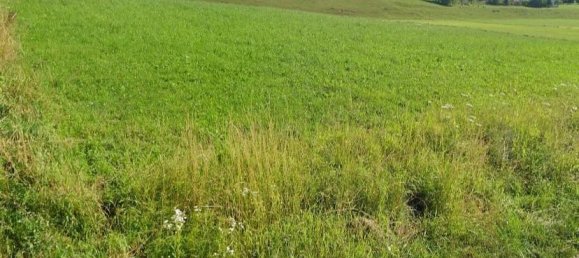 Земельный участок 700м² в Штрасвальхен, Австрия № 219418 2