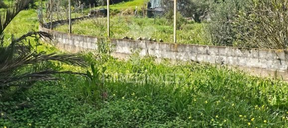 Terrain à Silves, Portugal No. 58325 6