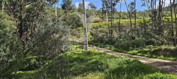 Terrain à Silves, Portugal No. 58325 8