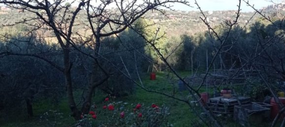 5000m² Land in Palombara Sabina, Italy No. 74882 9