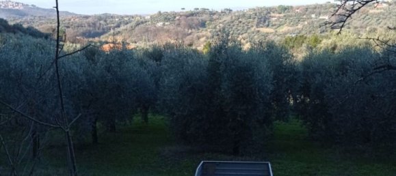 5000m² Land in Palombara Sabina, Italy No. 74882 8