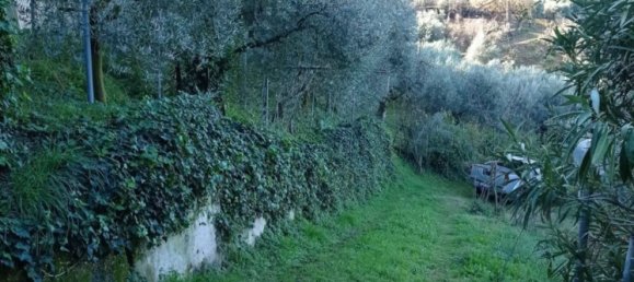 5000m² Land in Palombara Sabina, Italy No. 74882 12