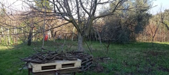 5000m² Land in Palombara Sabina, Italy No. 74882 4